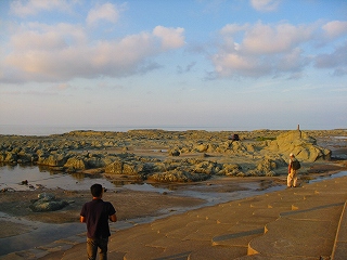e0160568_1451928.jpg