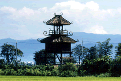 f0215268_19485426.gif
