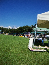 e0150087_848321.jpg