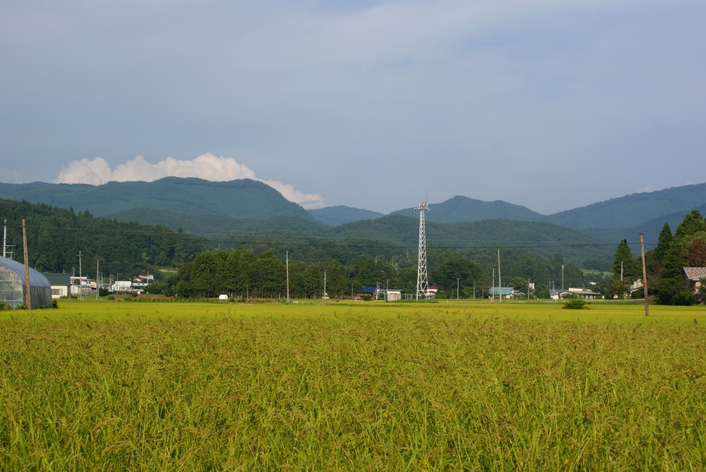 久々に東和へ_c0108388_13285874.jpg