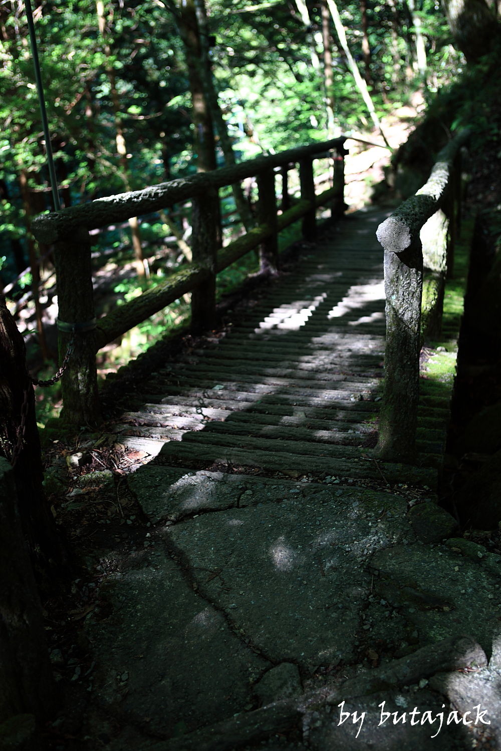 岐阜県『付知峡』の滝・・・_e0143590_20543084.jpg