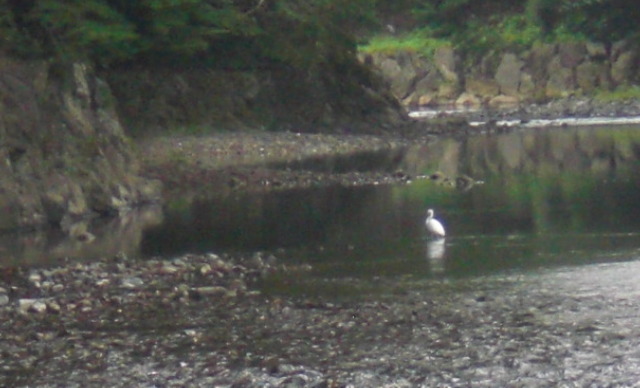 f0166694_2102859.jpg