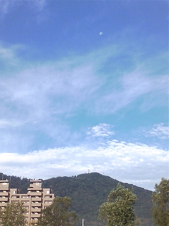 b0199097_8263921.jpg