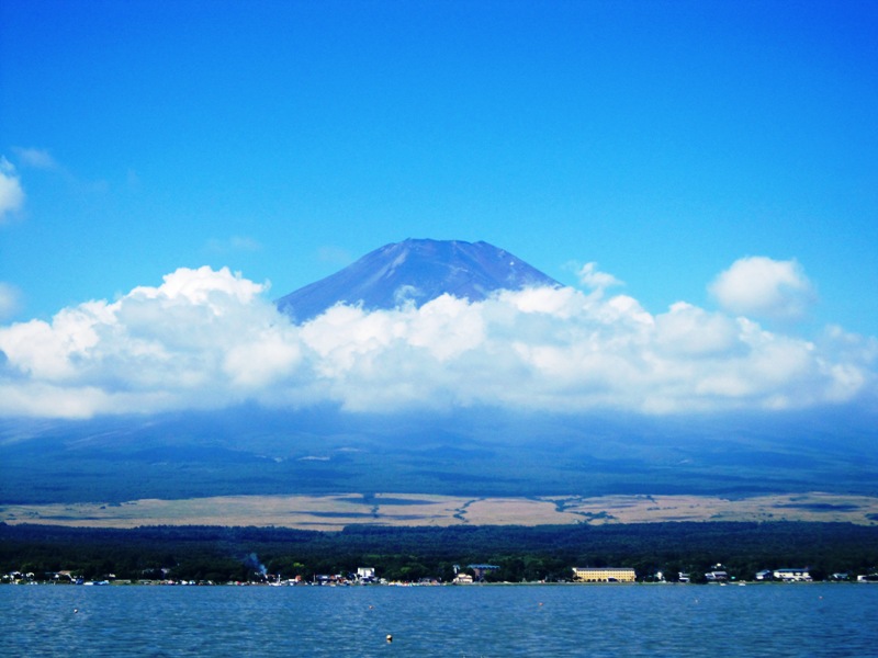 c0125702_839577.jpg