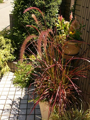 a0123003_22221886.jpg