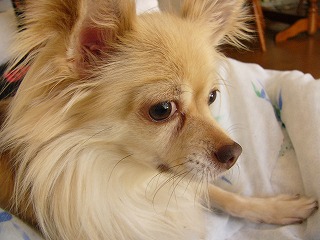 a0123003_23113917.jpg