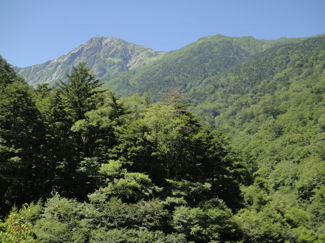 b0172805_481433.jpg