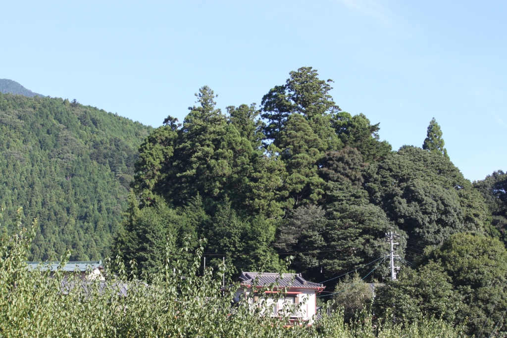 a0147507_17483934.jpg