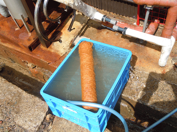 b0159611_2227718.gif