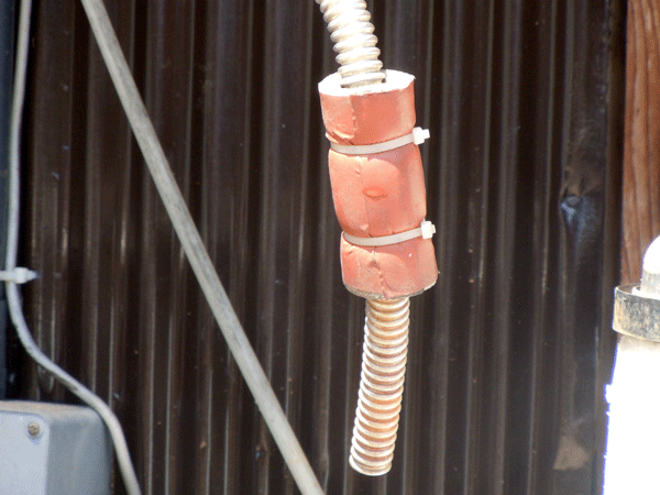 b0159611_223137100.gif