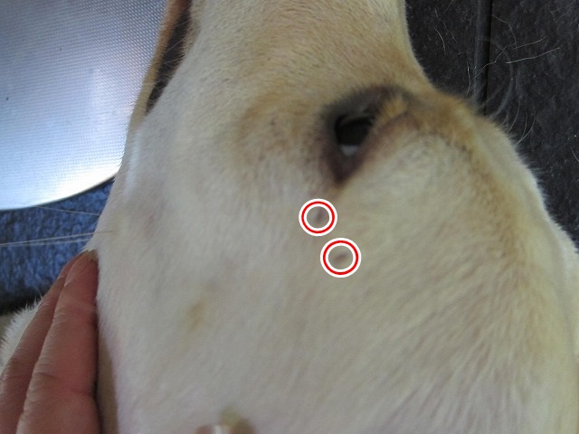 e0192217_14364116.jpg