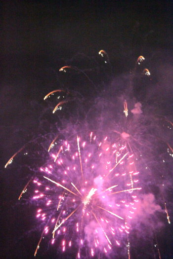 d0072318_8473621.jpg
