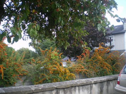 c0124619_550127.jpg