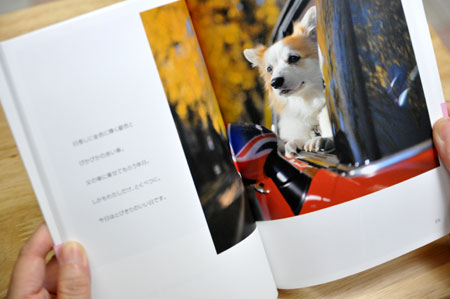 てのひらぶんこ・おおきなえほん 「とくべつな日」_d0102523_13345135.jpg