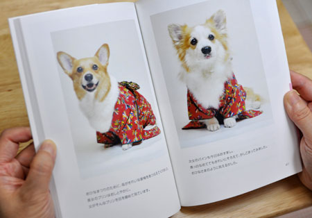 てのひらぶんこ・おおきなえほん 「とくべつな日」_d0102523_13351884.jpg