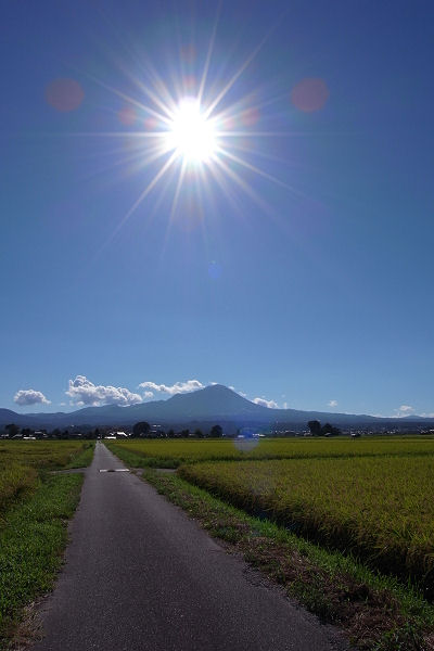 今日も大山_f0007926_1442693.jpg