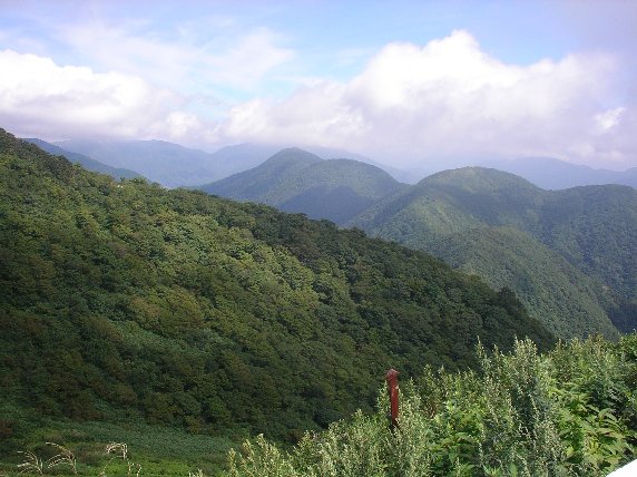 c0029332_22505312.jpg