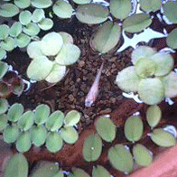 d0048332_13555562.gif