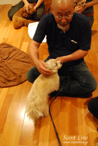 「愛犬の為の整体教室」第1回の模様_c0099133_112428.jpg