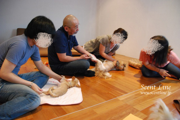 「愛犬の為の整体教室」第1回の模様_c0099133_1154873.jpg