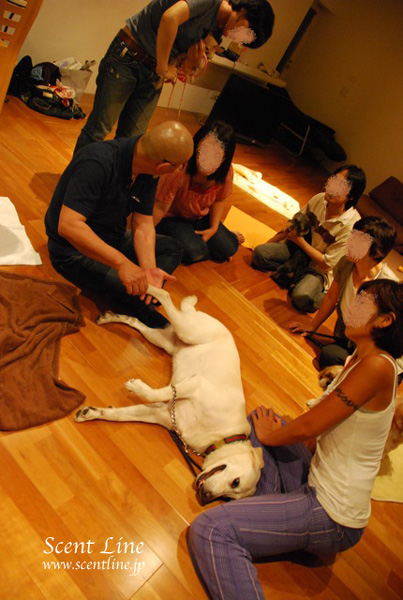 「愛犬の為の整体教室」第1回の模様_c0099133_2231821.jpg