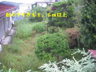 ハードな一日_f0031037_19385129.jpg
