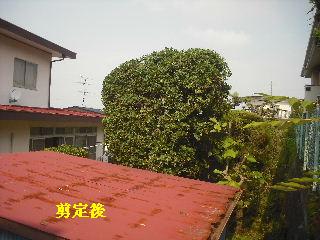 ハードな一日_f0031037_19433583.jpg