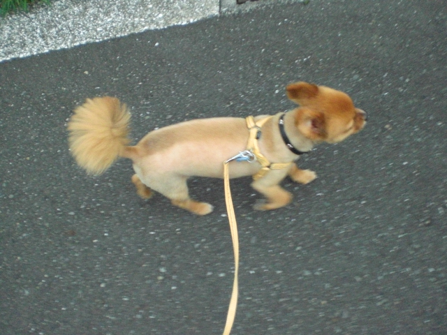 d0169340_23404235.jpg