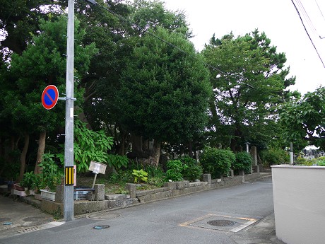 c0057946_17511832.jpg
