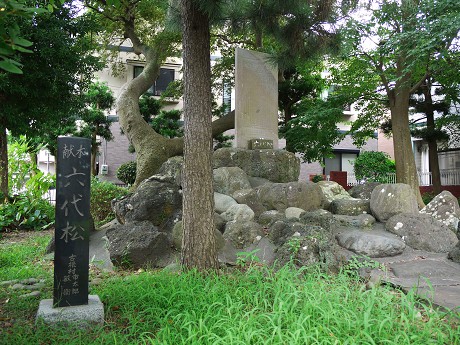 c0057946_17522212.jpg