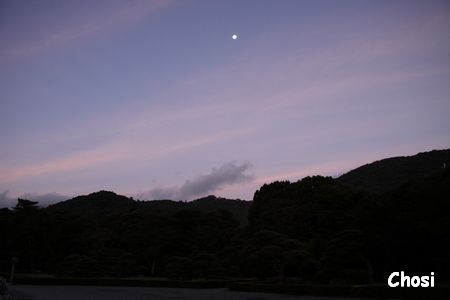 c0004750_96737.jpg