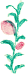 c0043751_22523370.gif