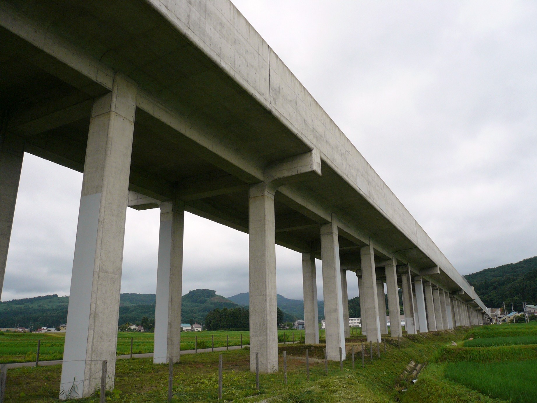 c0115560_1444476.jpg