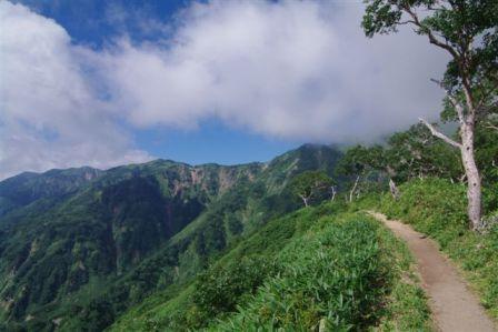 d0164761_14295654.jpg