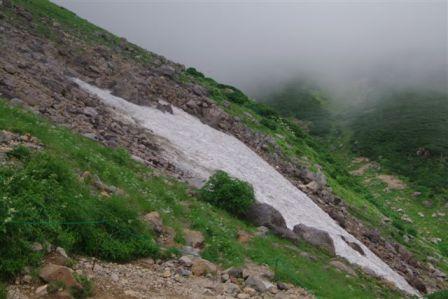 d0164761_14553454.jpg