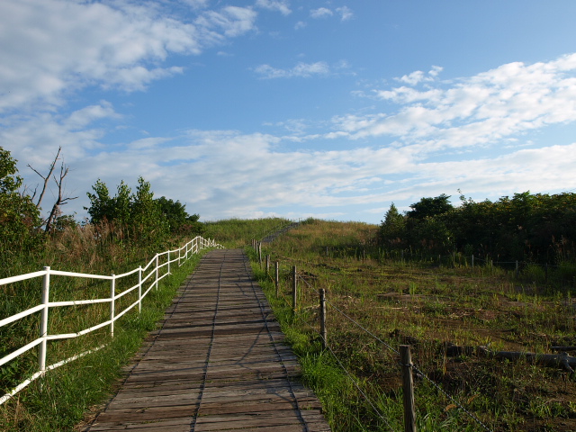 夏の西山火口散策路_d0153062_9543914.jpg