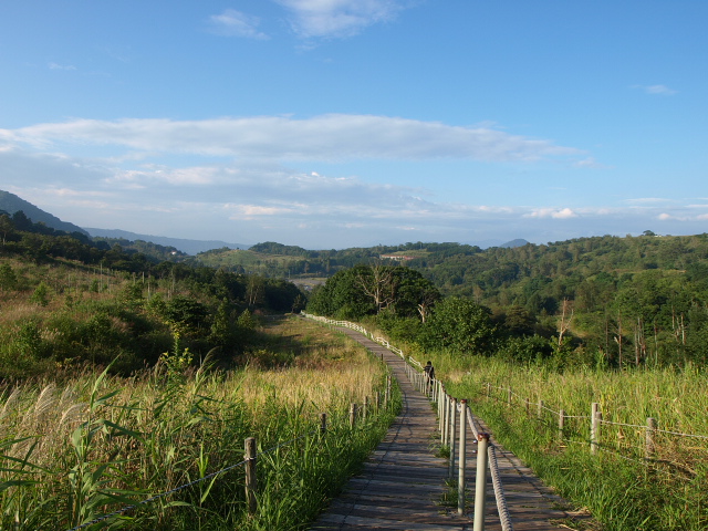 夏の西山火口散策路_d0153062_9545748.jpg