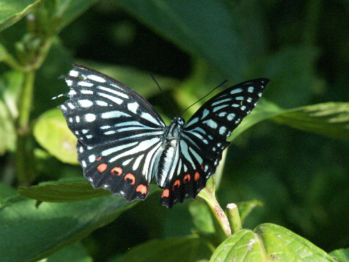 f0208666_11165097.jpg