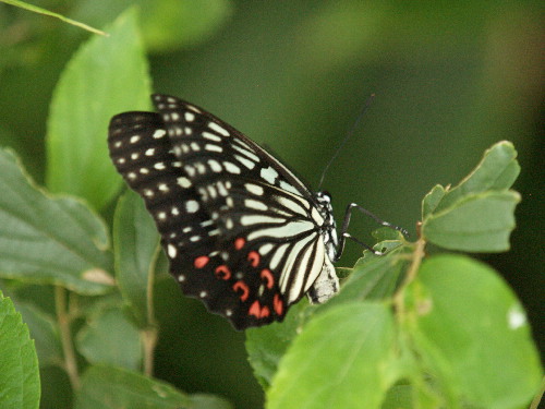 f0208666_11283743.jpg