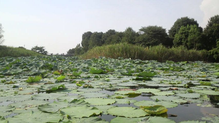 f0065167_14440.jpg
