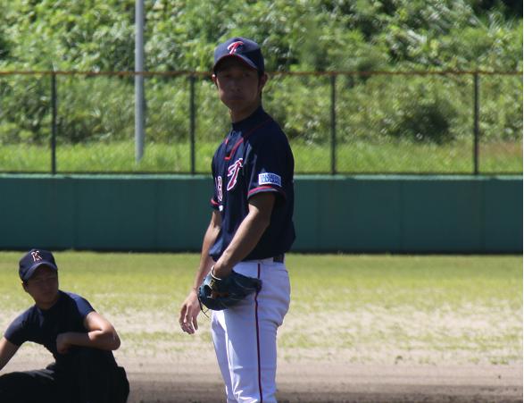 近畿大学 : のむらねこの肉球