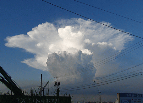 d0152869_213308.gif