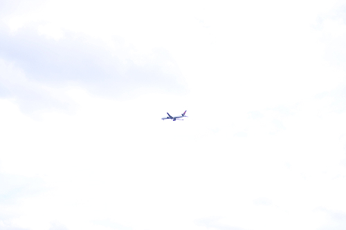 e0186470_2201010.jpg