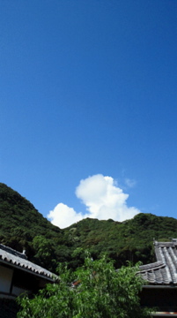 f0054677_839469.jpg