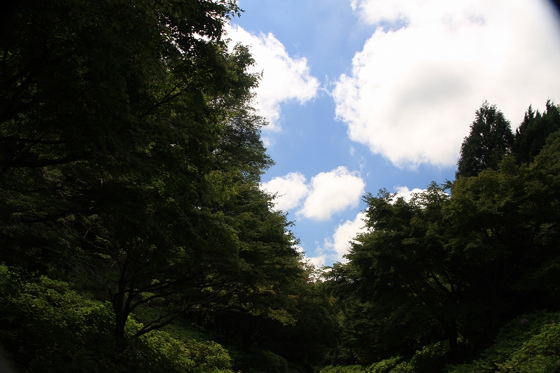 e0024081_17253952.jpg