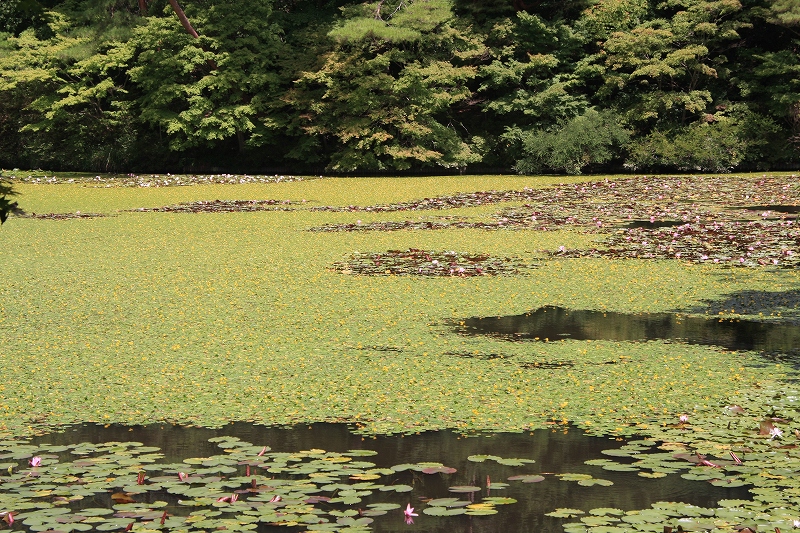 e0024081_17264163.jpg