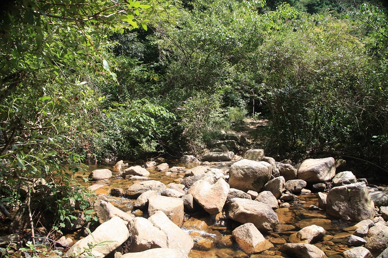 e0024081_17281779.jpg