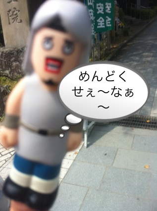 北斗の件 ~パワースポット 高尾山編~_f0236990_14593417.jpg