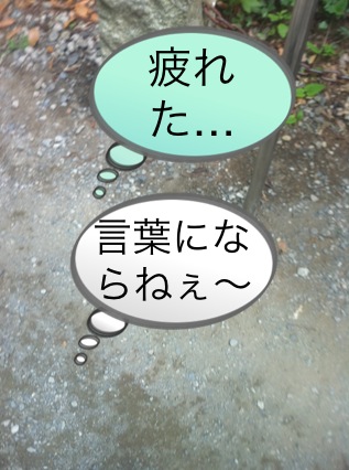 北斗の件 ~パワースポット 高尾山編~_f0236990_1511281.jpg