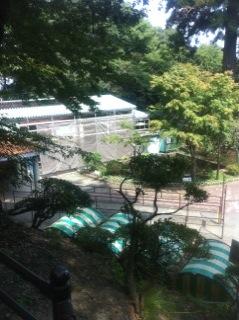 北斗の件 ~パワースポット 高尾山編~_f0236990_1512394.jpg